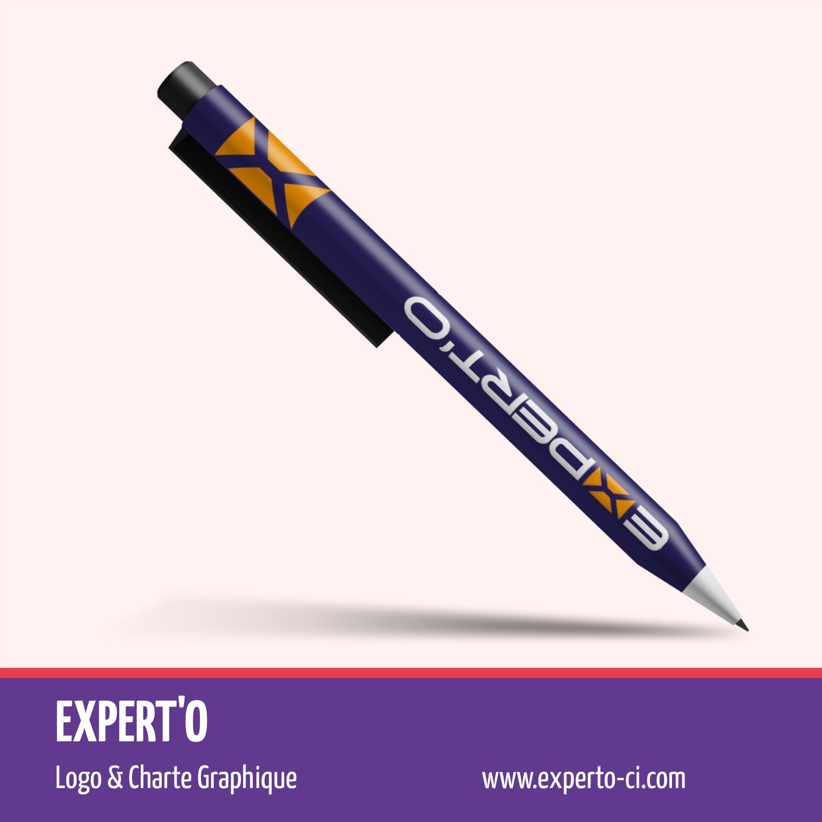Projet 1experto logo