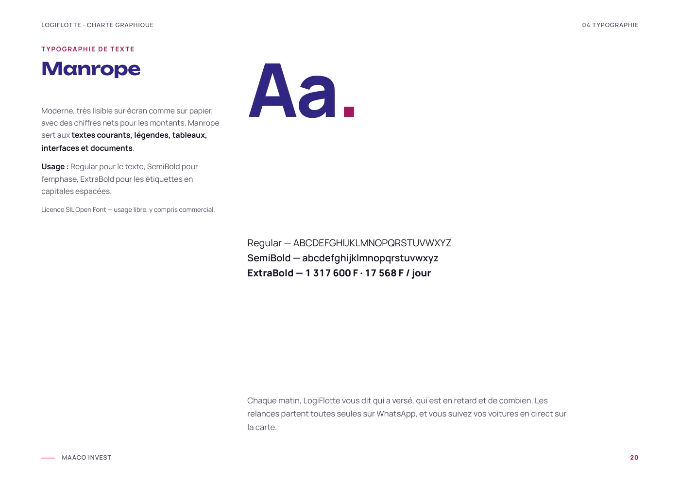 Charte graphique Logiflotte, page 21