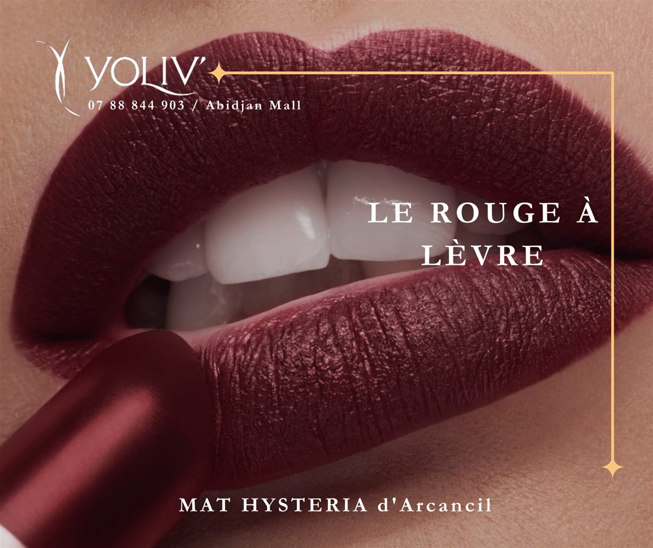 Création sociale YOLIV 16